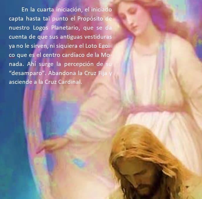 revista nivel 2