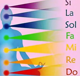 revista nivel 2