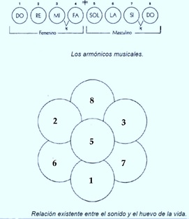 revista nivel 2