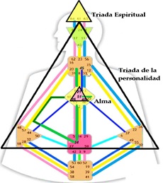 revista nivel 2