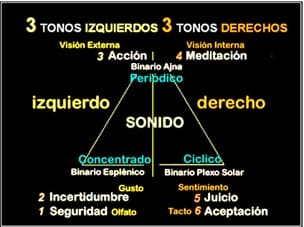 REVISTA NIVEL 2