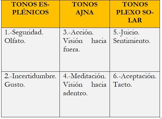 REVISTA NIVEL 2