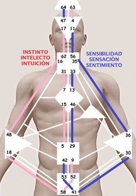 revista nivel 2