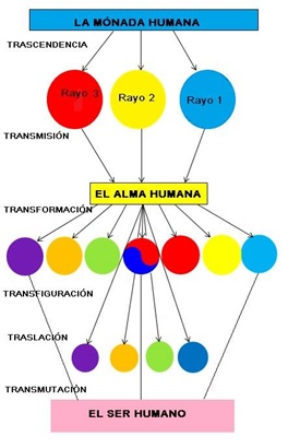 revista nivel 2