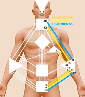 revista nivel 2