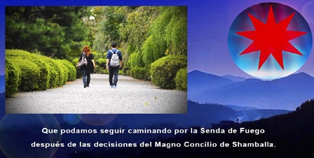 revista nivel 2